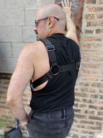 A pup in a bulldog harness with black webbing and silver hardware as seen from the back
