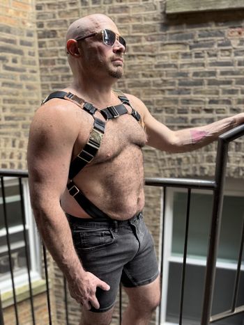 A pup in a harness